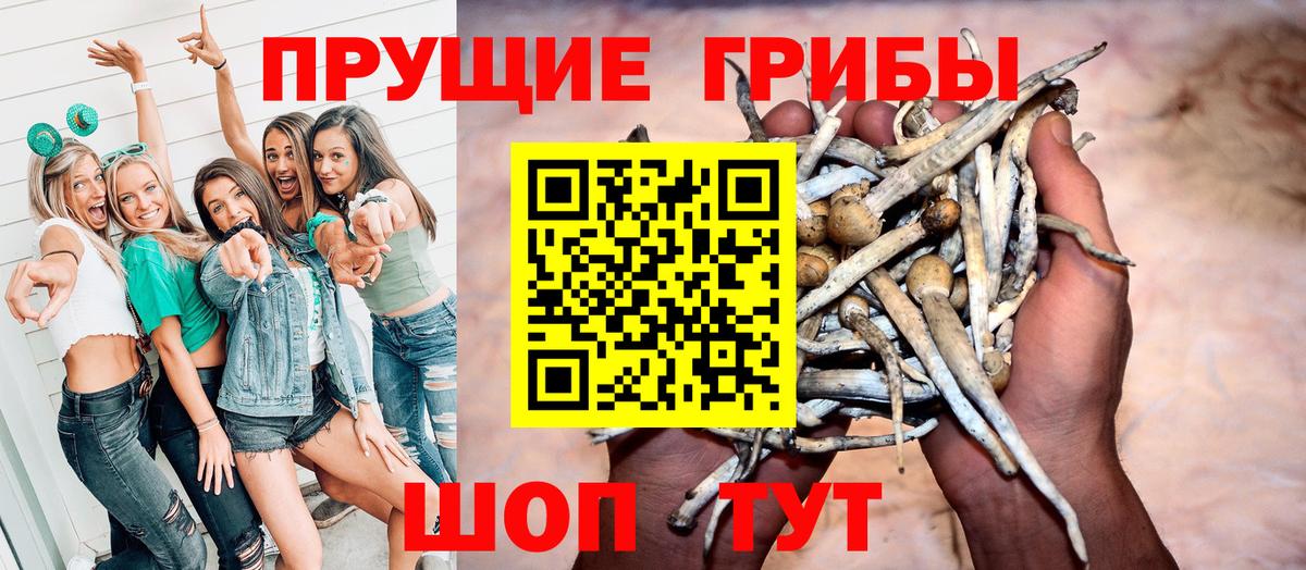 Сокол  где купить наркотик  Псилоцибиновые грибы MAGIC MUSHROOMS  Вход с VPN  Галлюциногенные грибы мухоморы 