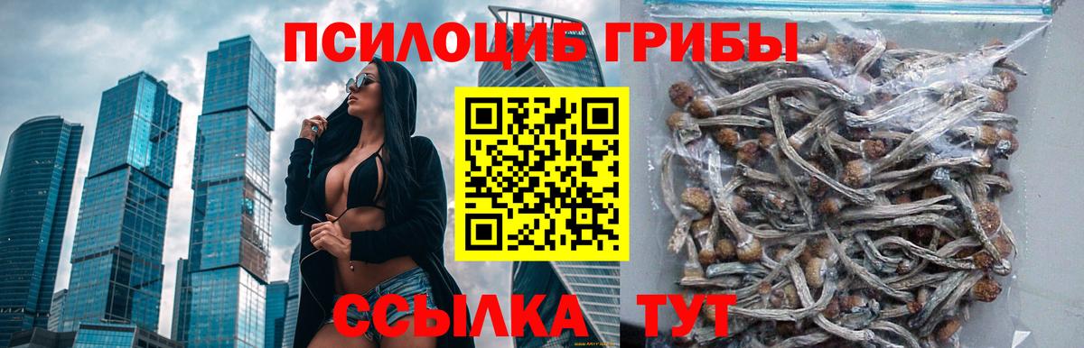 Псилоцибиновые грибы Magic Shrooms Сокол