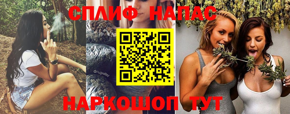 Шишки марихуана ГИДРОПОН Сокол